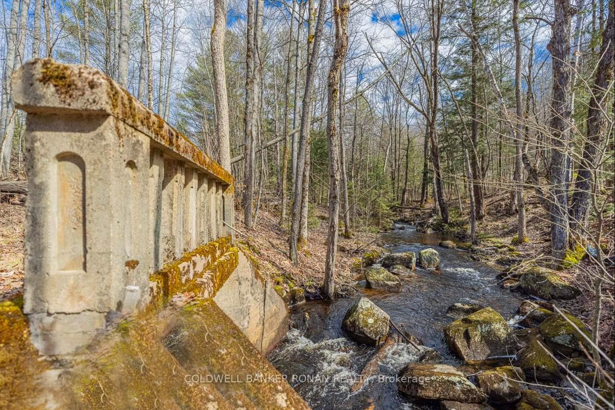 1187 Windermere Road photo 31