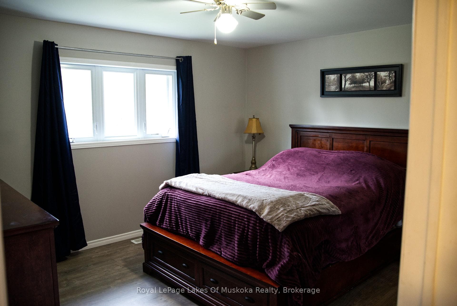 52 Sunshine Street photo 18