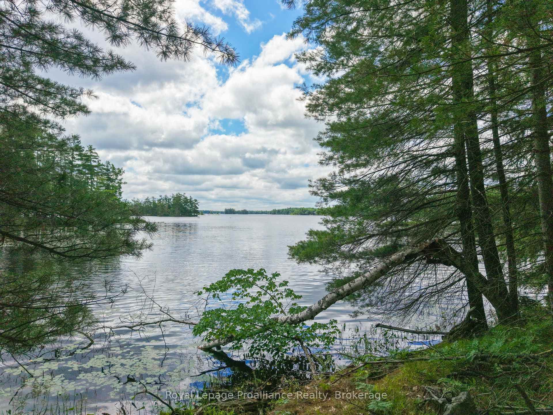 3 WAO Kasshabog Lake N/A photo 31