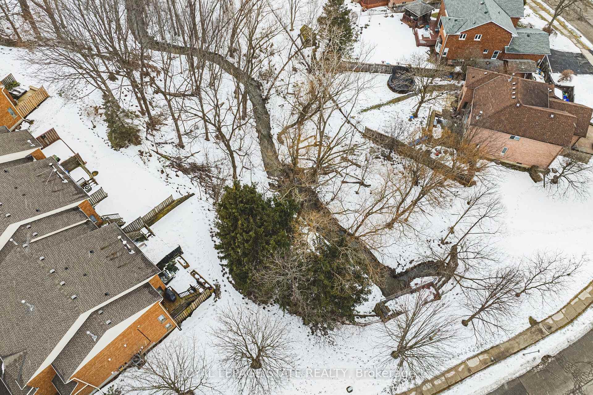 14 Huntingwood Avenue Unit 1 photo 42