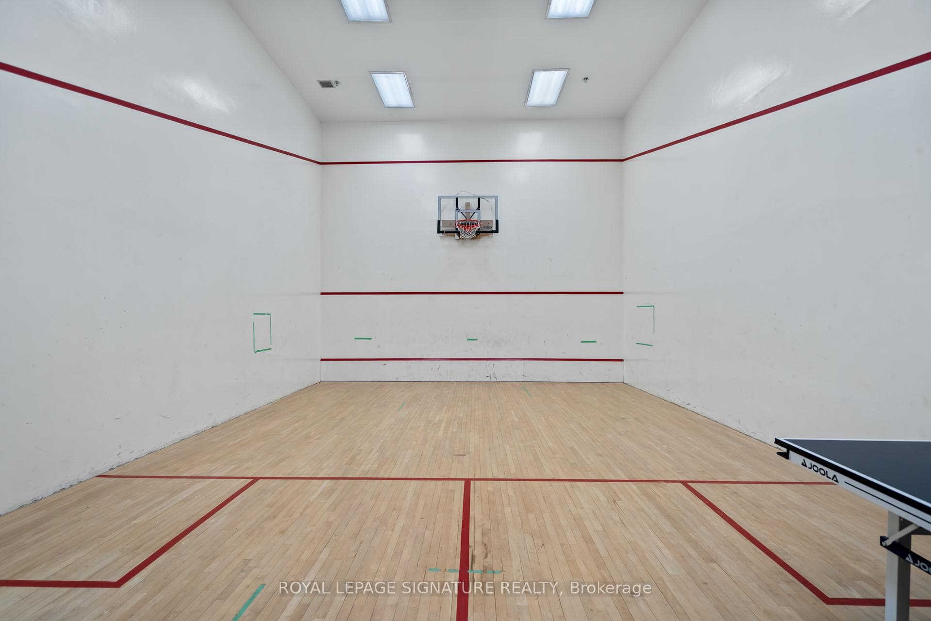 Basketball Court