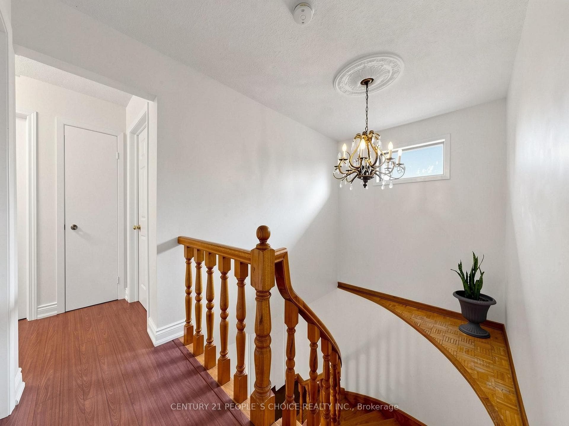 76 Westona Street photo 23