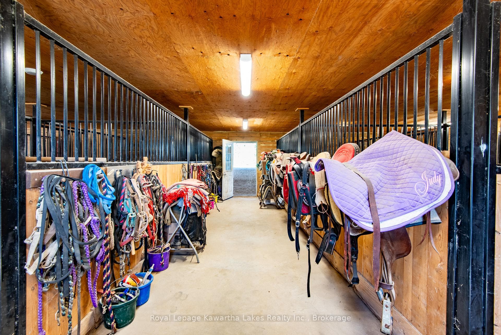 Tack leads to the Arena