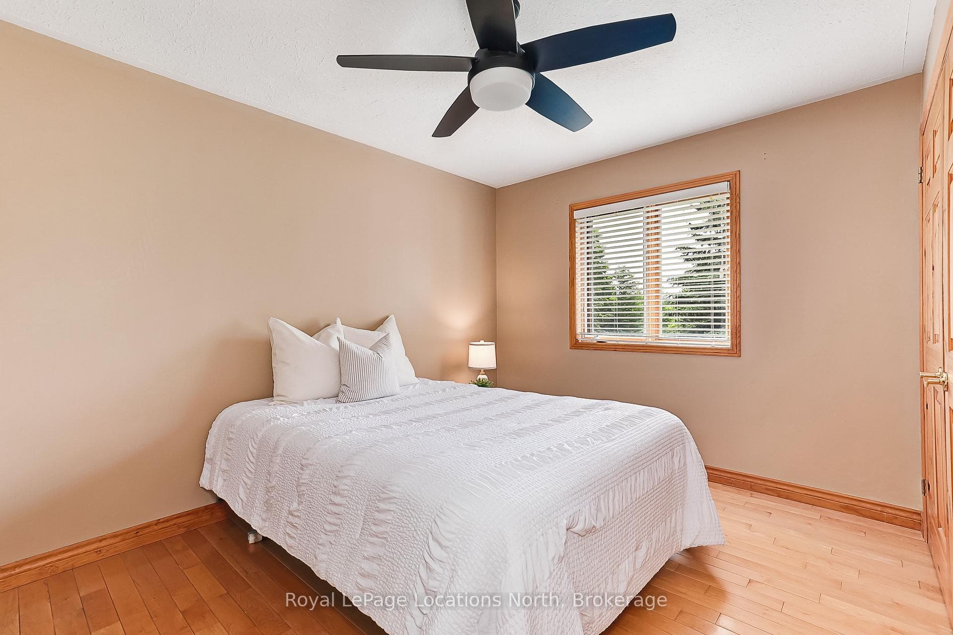 828530 Mulmur-Nottawasaga Townline photo 24