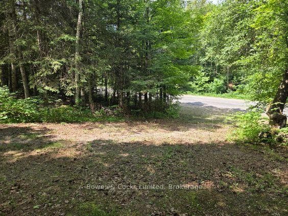 1326 Musclow Greenview N/A photo 10