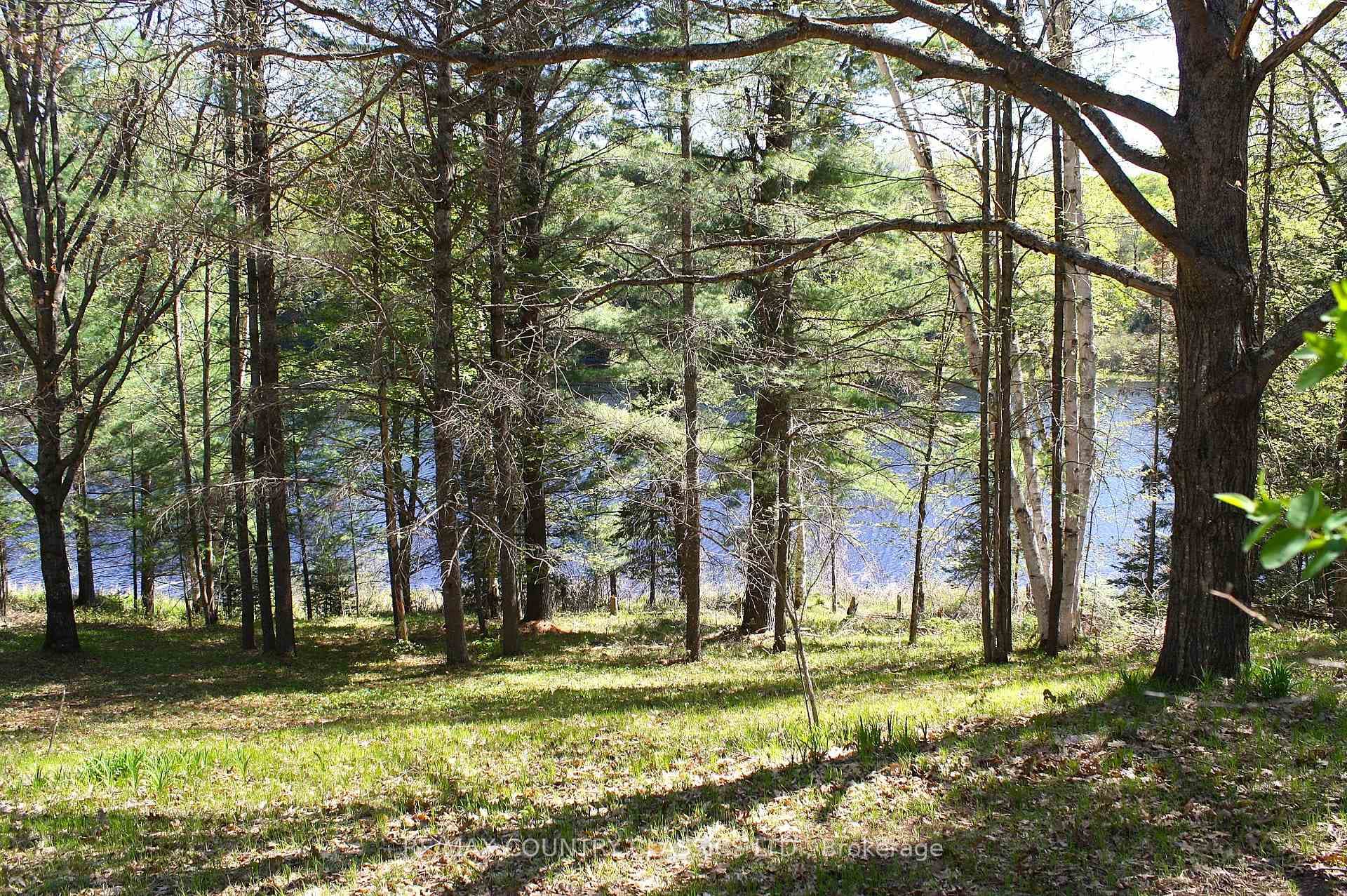 1060 Little Ireland Road photo 21