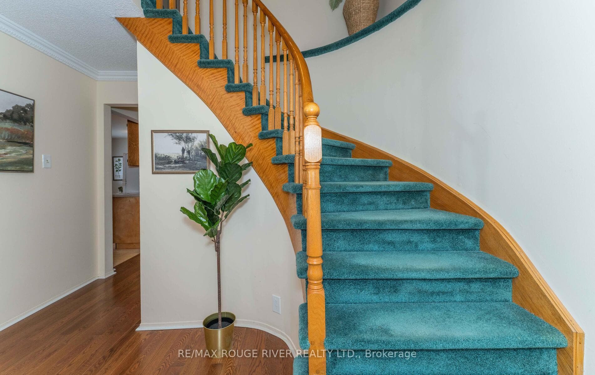 137 Maberley Crescent photo 8