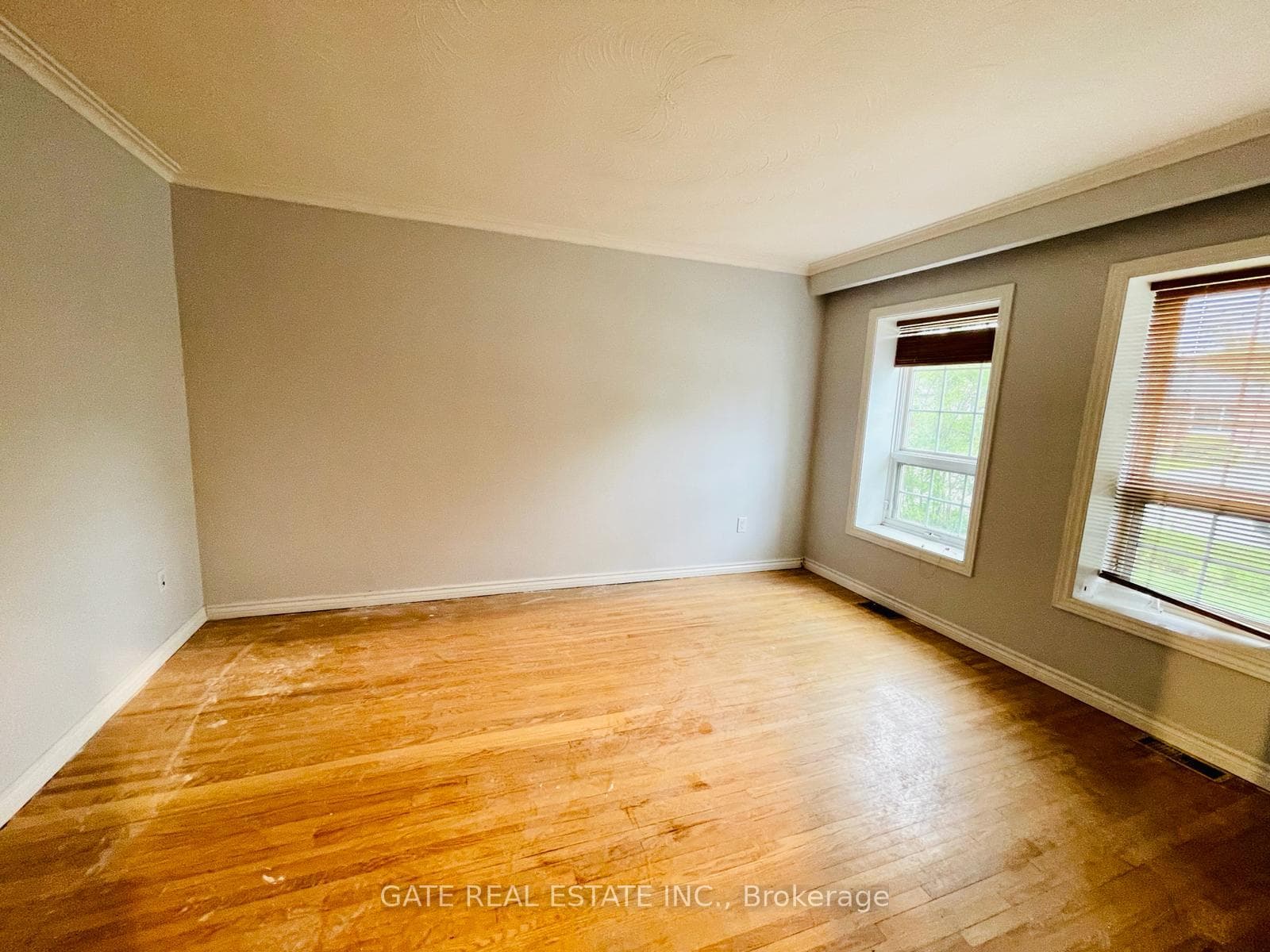 260 Vilma Drive photo 5