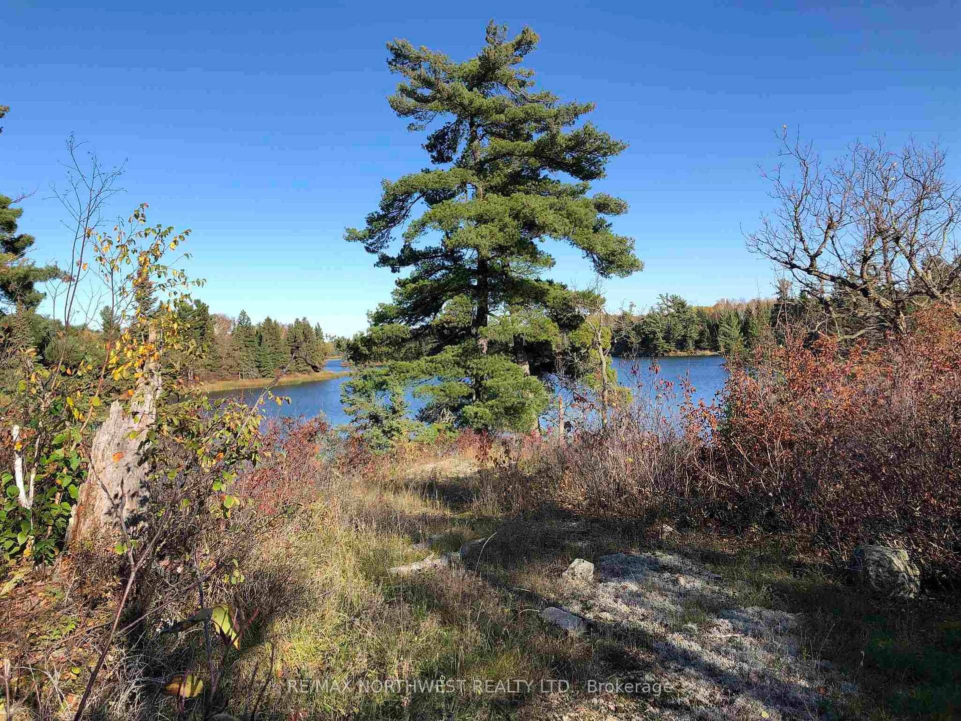 3,9 AND 10 DORION ISLAND LAKE OF THE WOODS photo 13