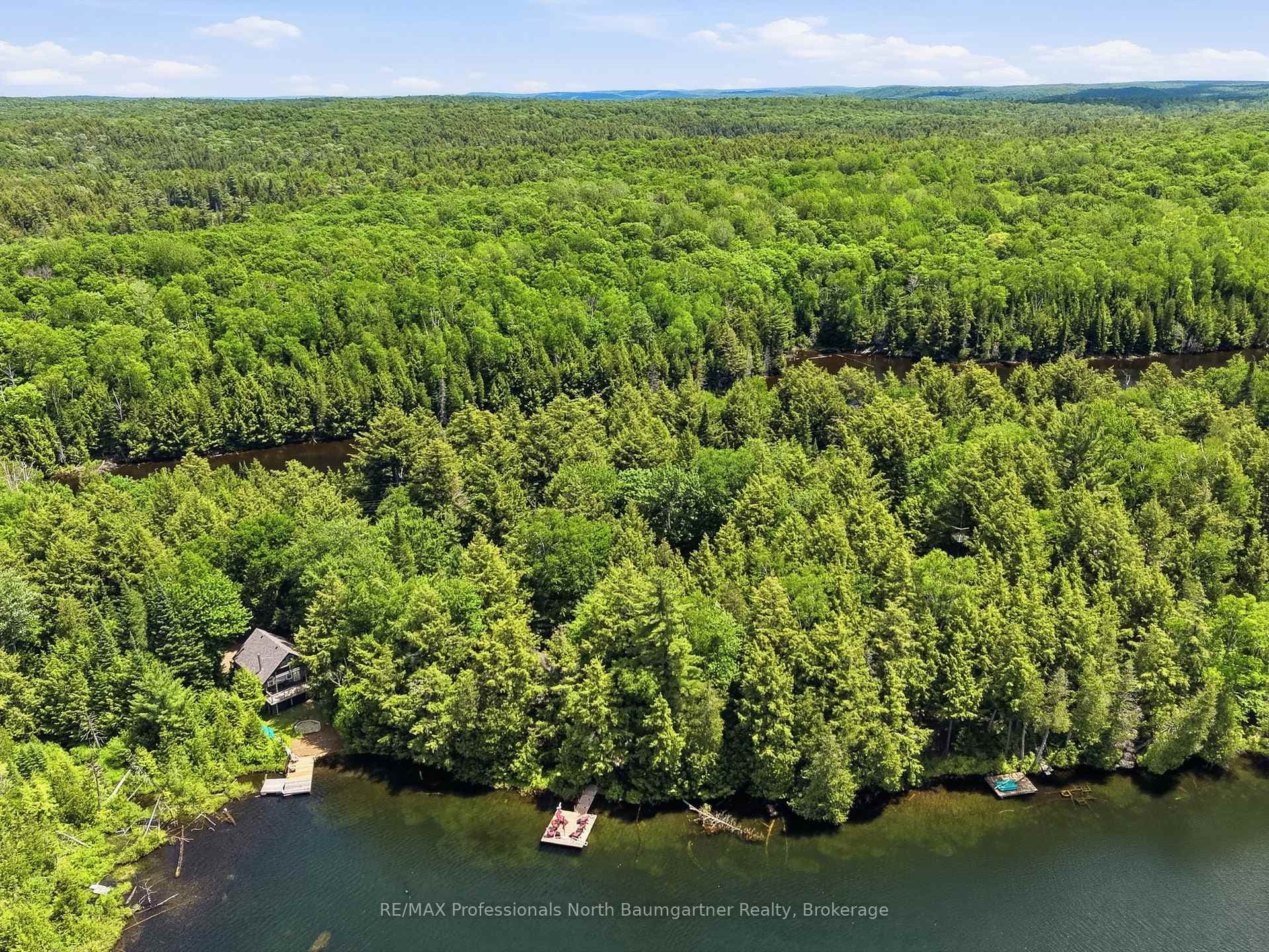 1036 Barnum Lake Drive photo 46