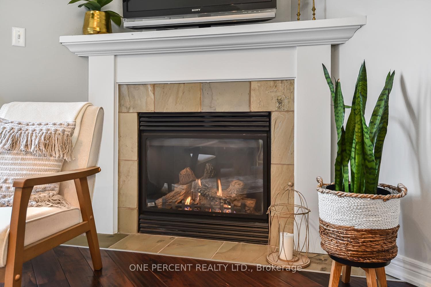 Cozy Gas Fireplace