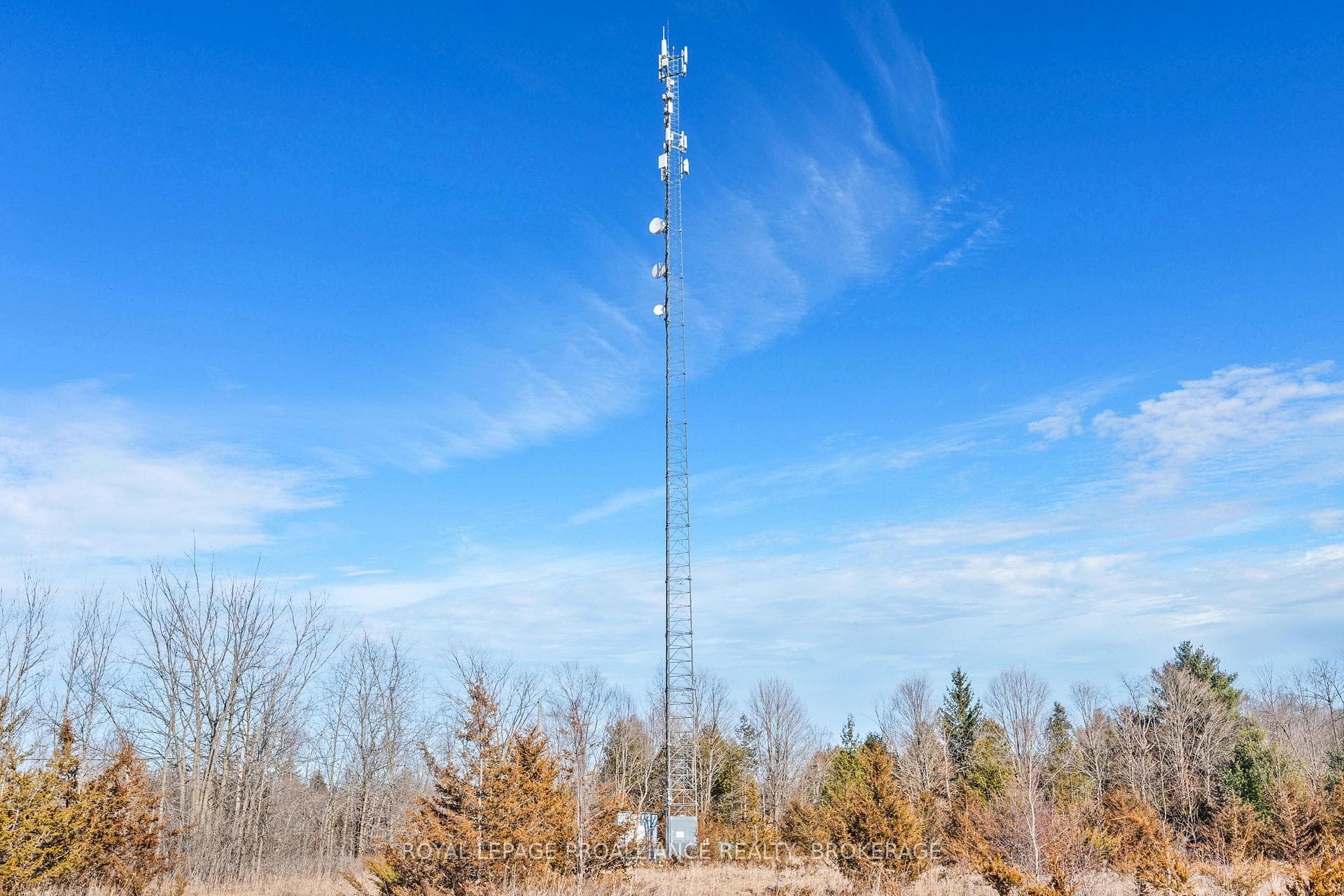 PT LT 9 Orser Road photo 11