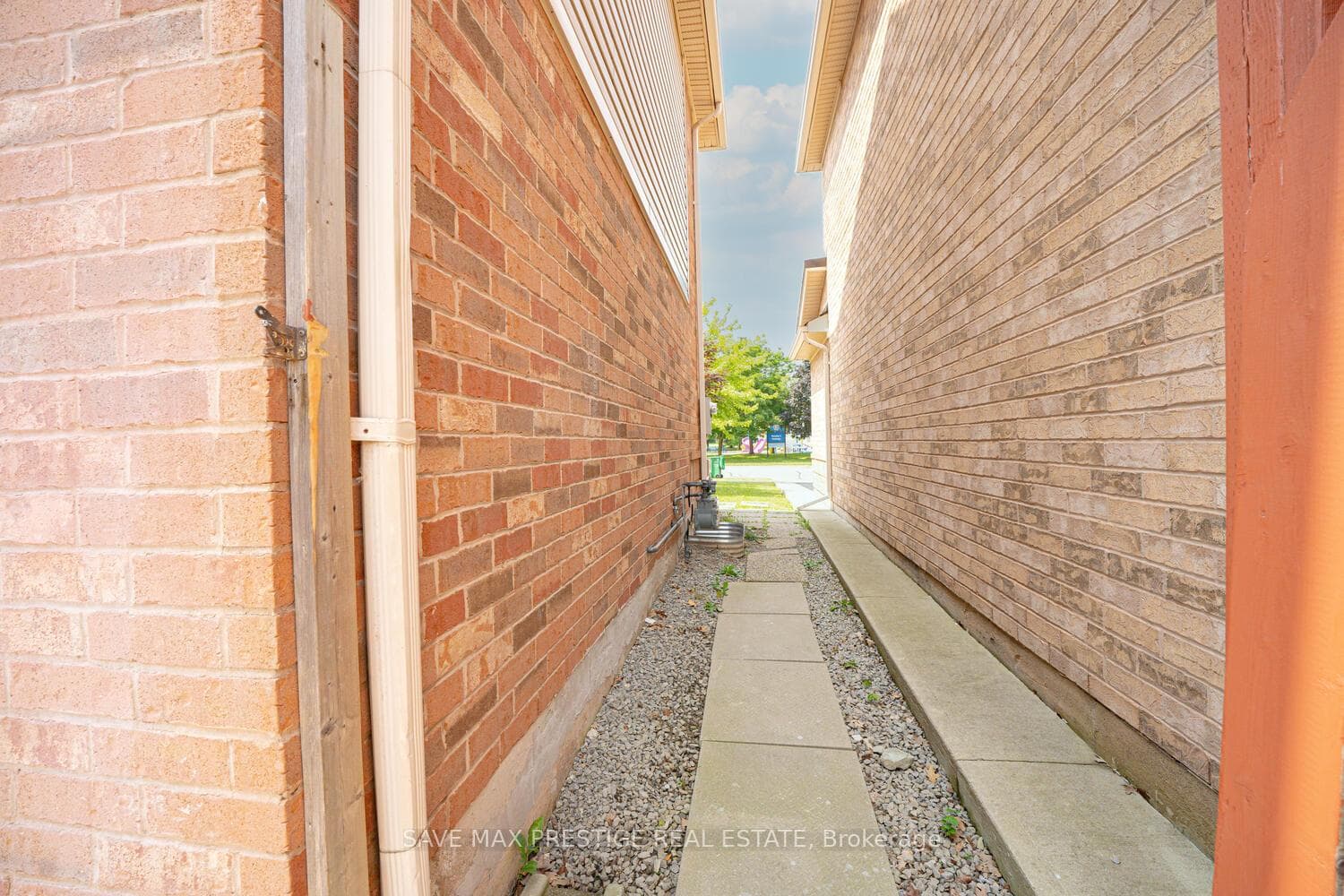 41 Springhurst Avenue photo 37