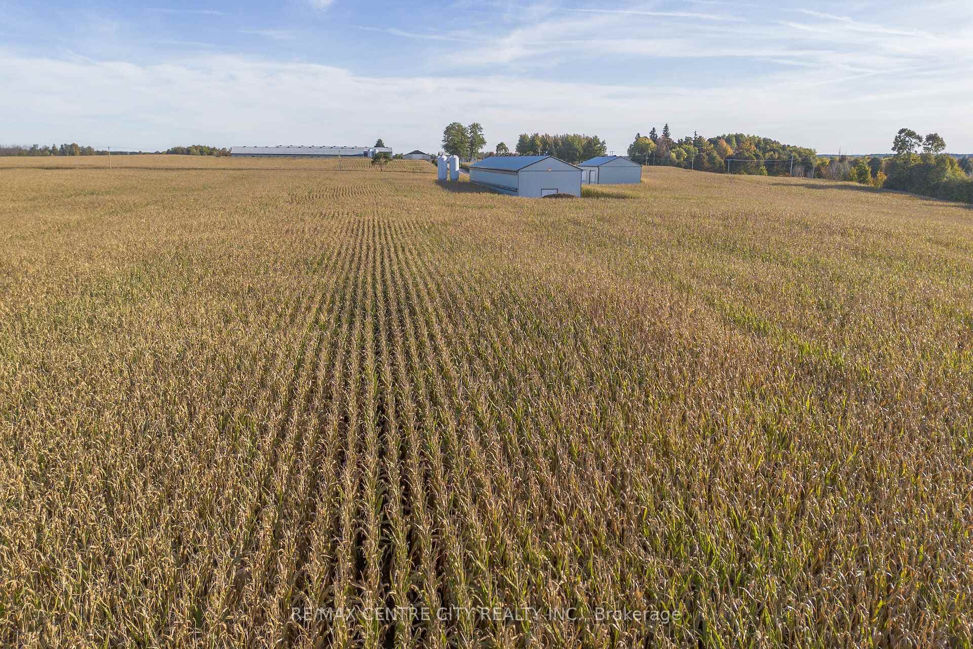 42783 Bridge Road photo 28