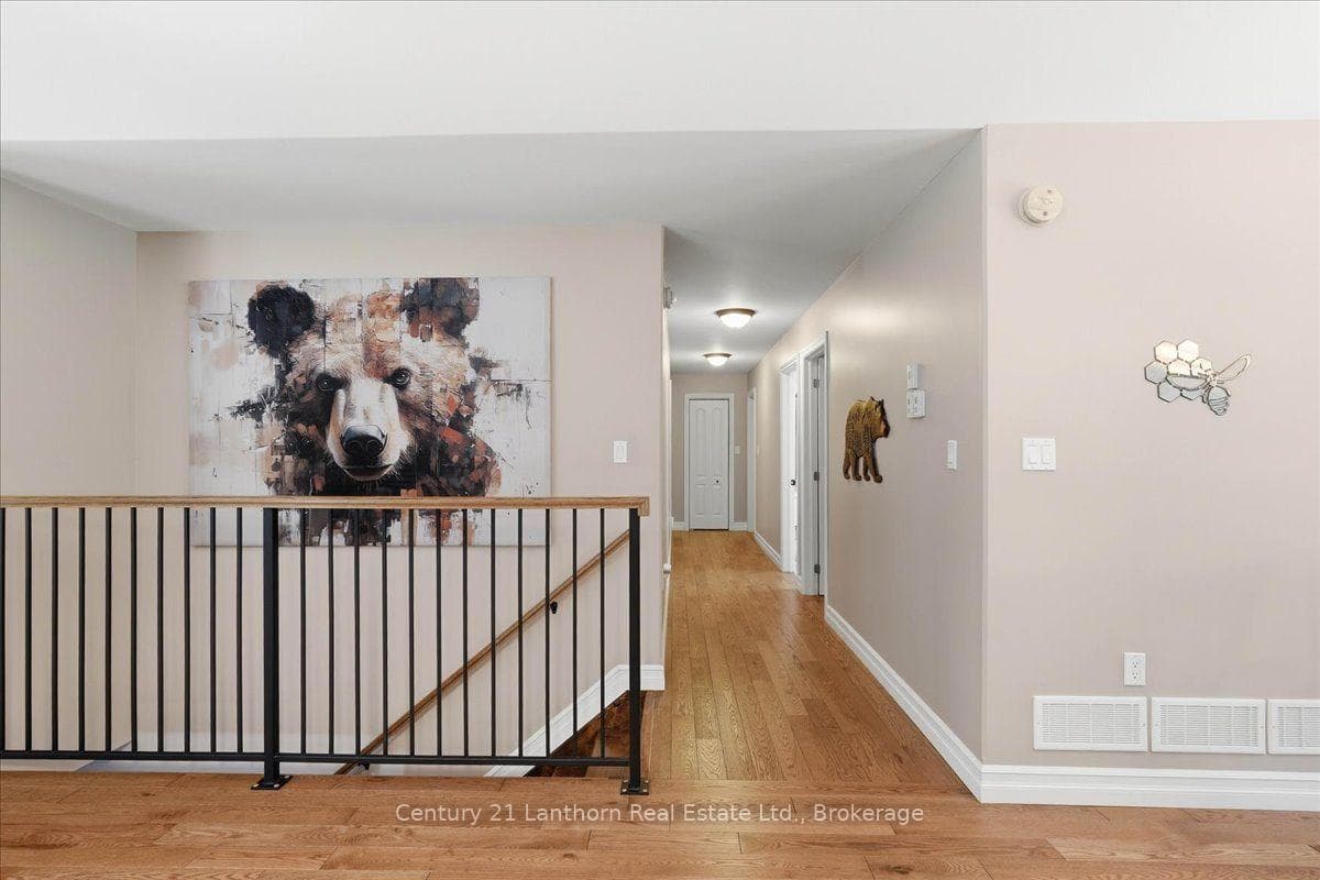 81 Reynolds Road photo 18