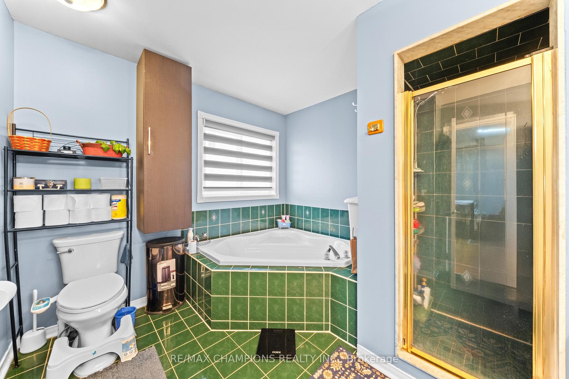 3 Fiddleneck Crescent photo 26