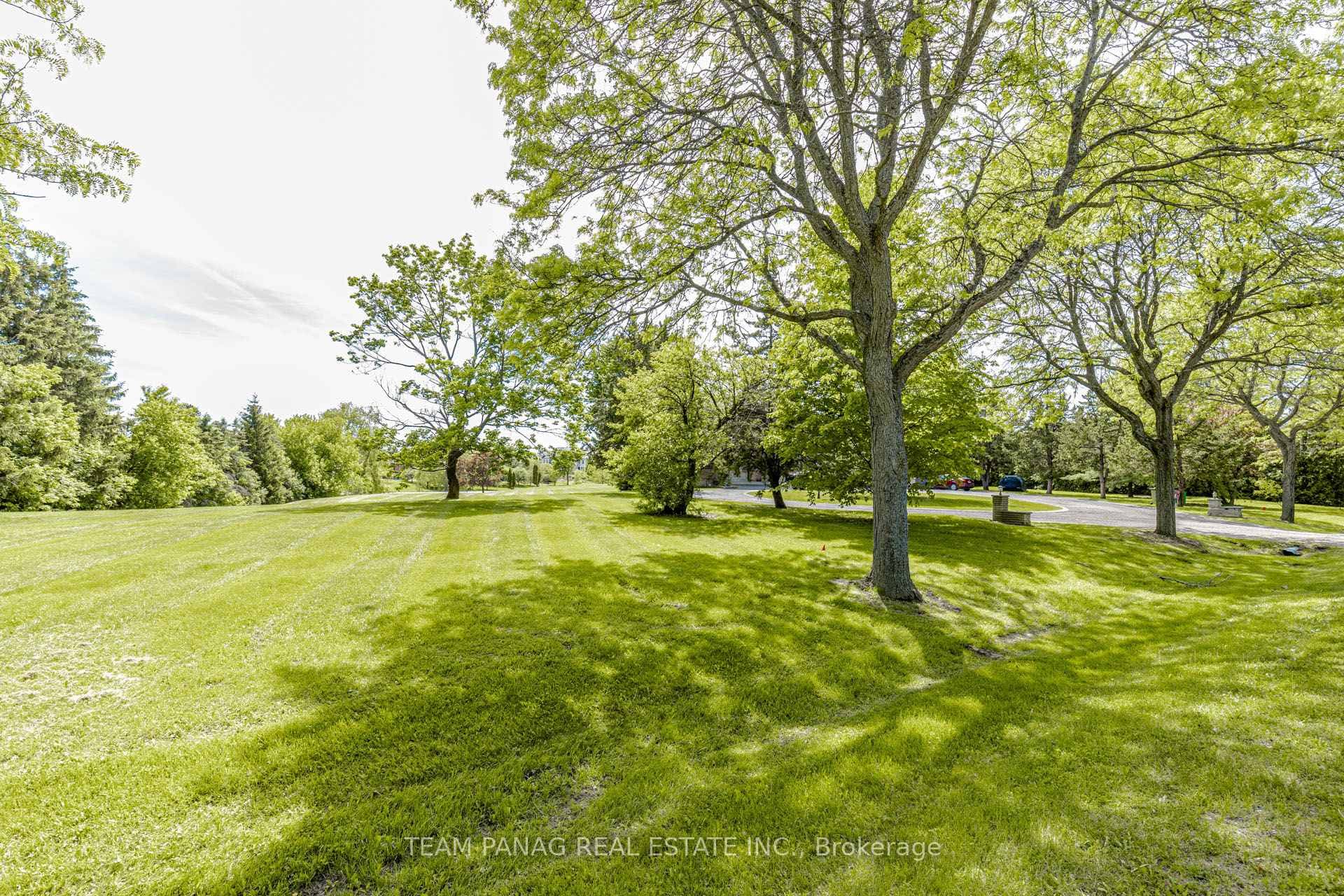 4 Forestbrook Court photo 22