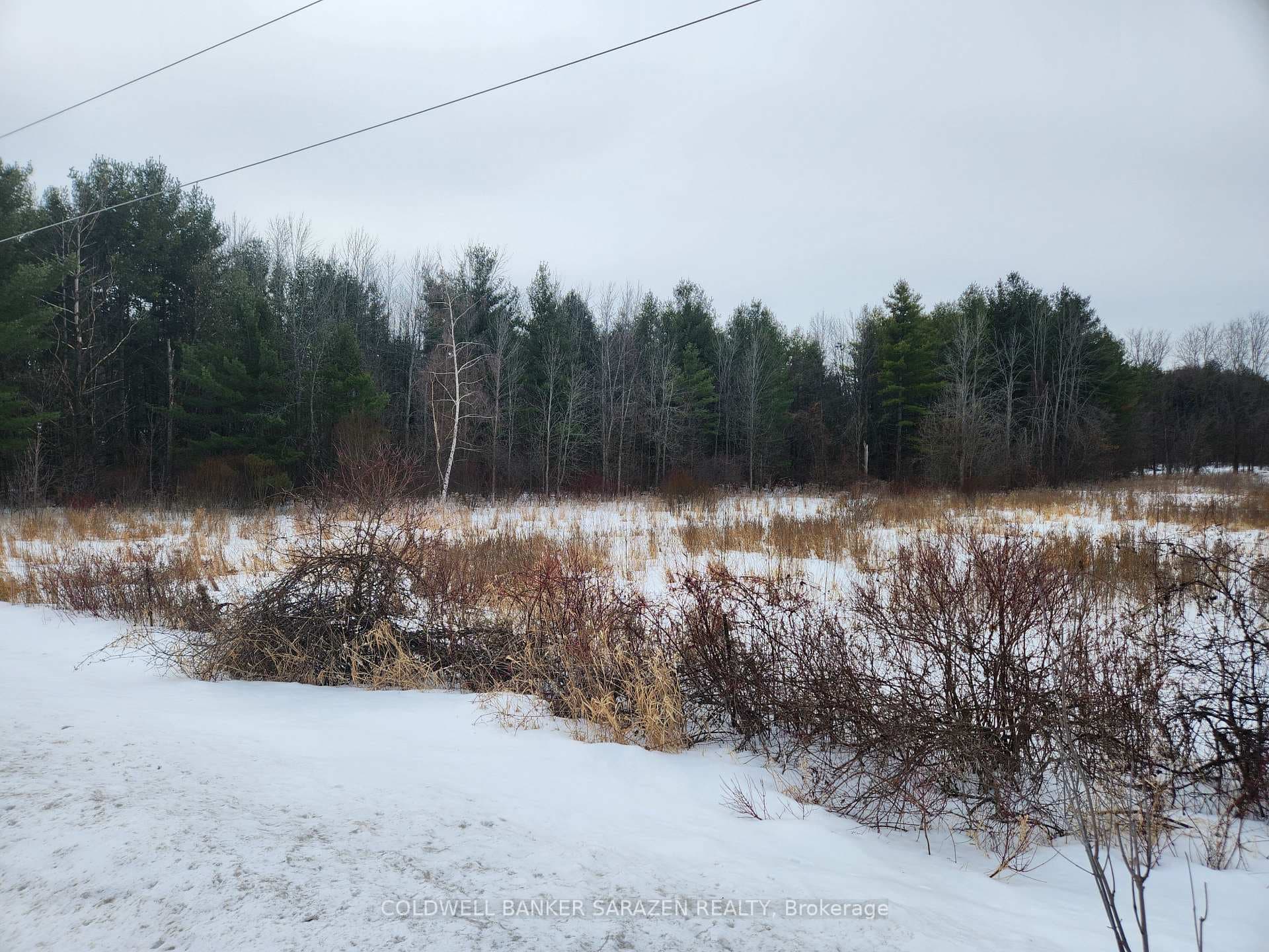 7238 Rideau Valley Drive photo 3
