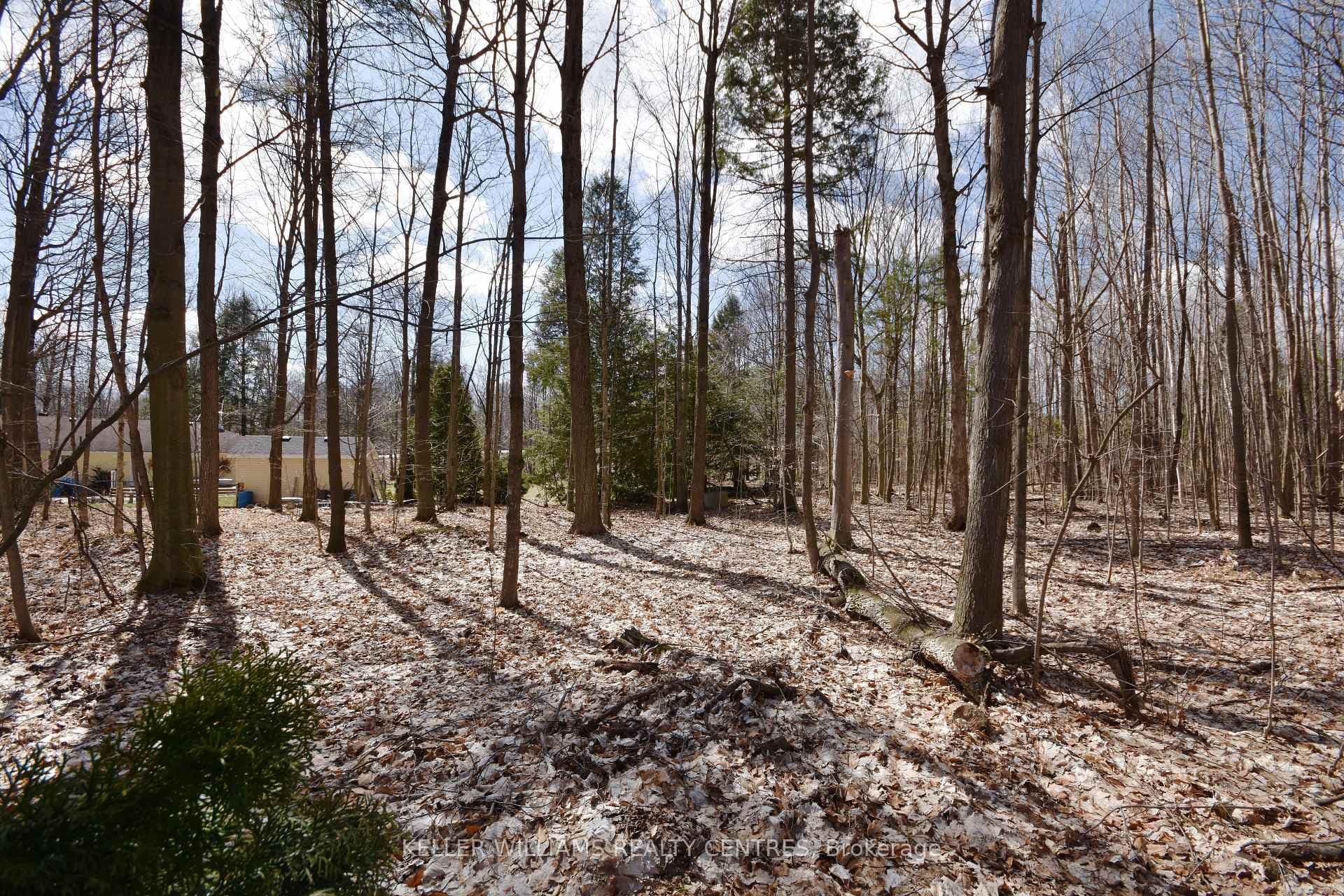 3146 Goldstein Road photo 32