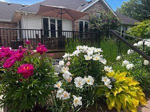 50 Delarmbro Drive photo 38
