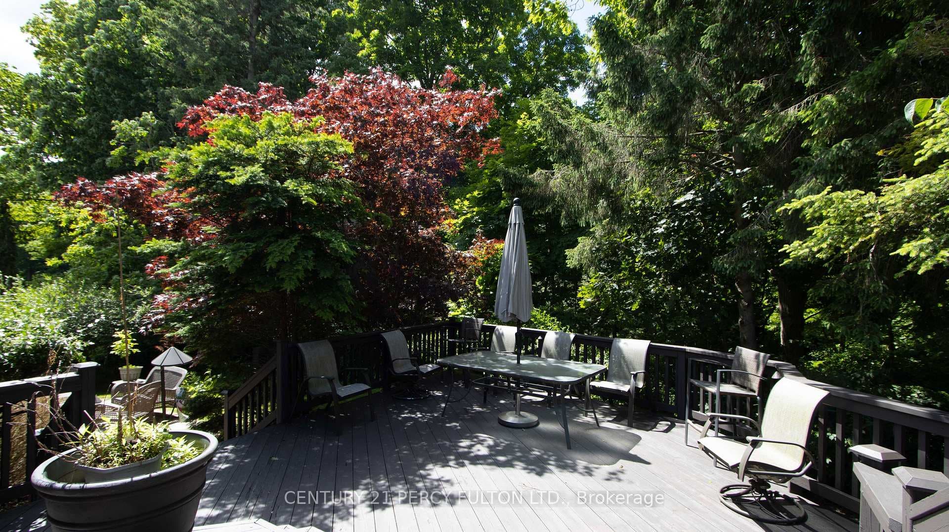 63 Satok Terrace photo 39