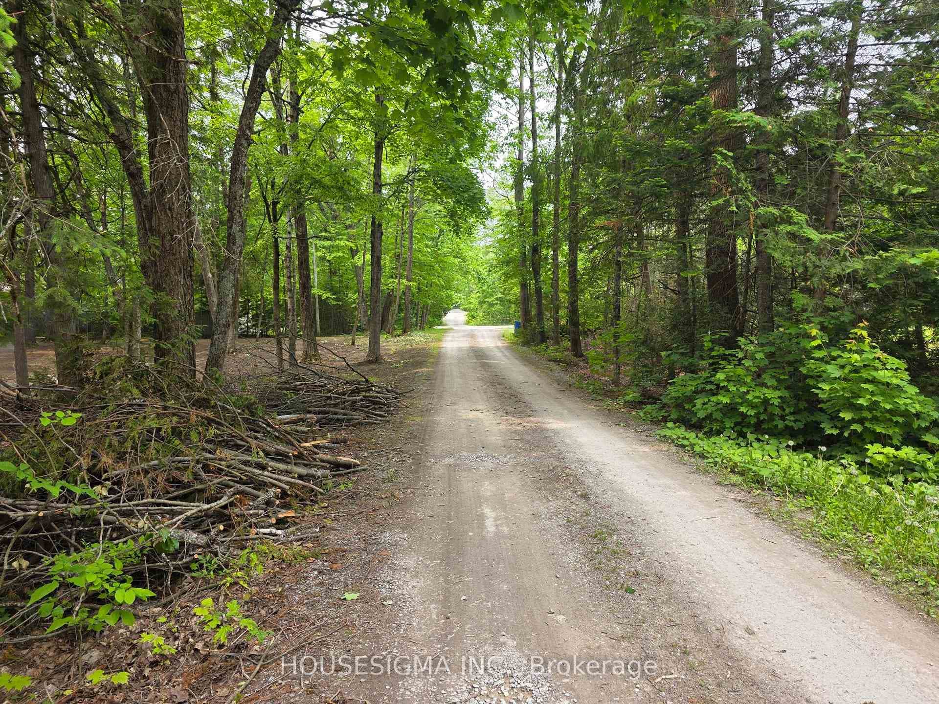 View of Camelot Place roadway.
