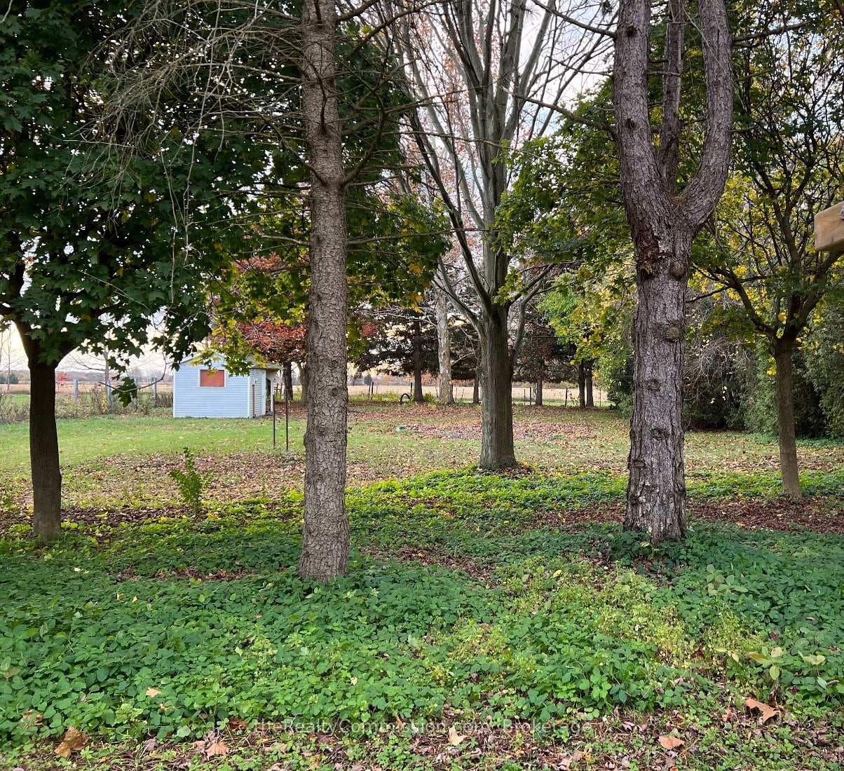 10767 Graham Road photo 1