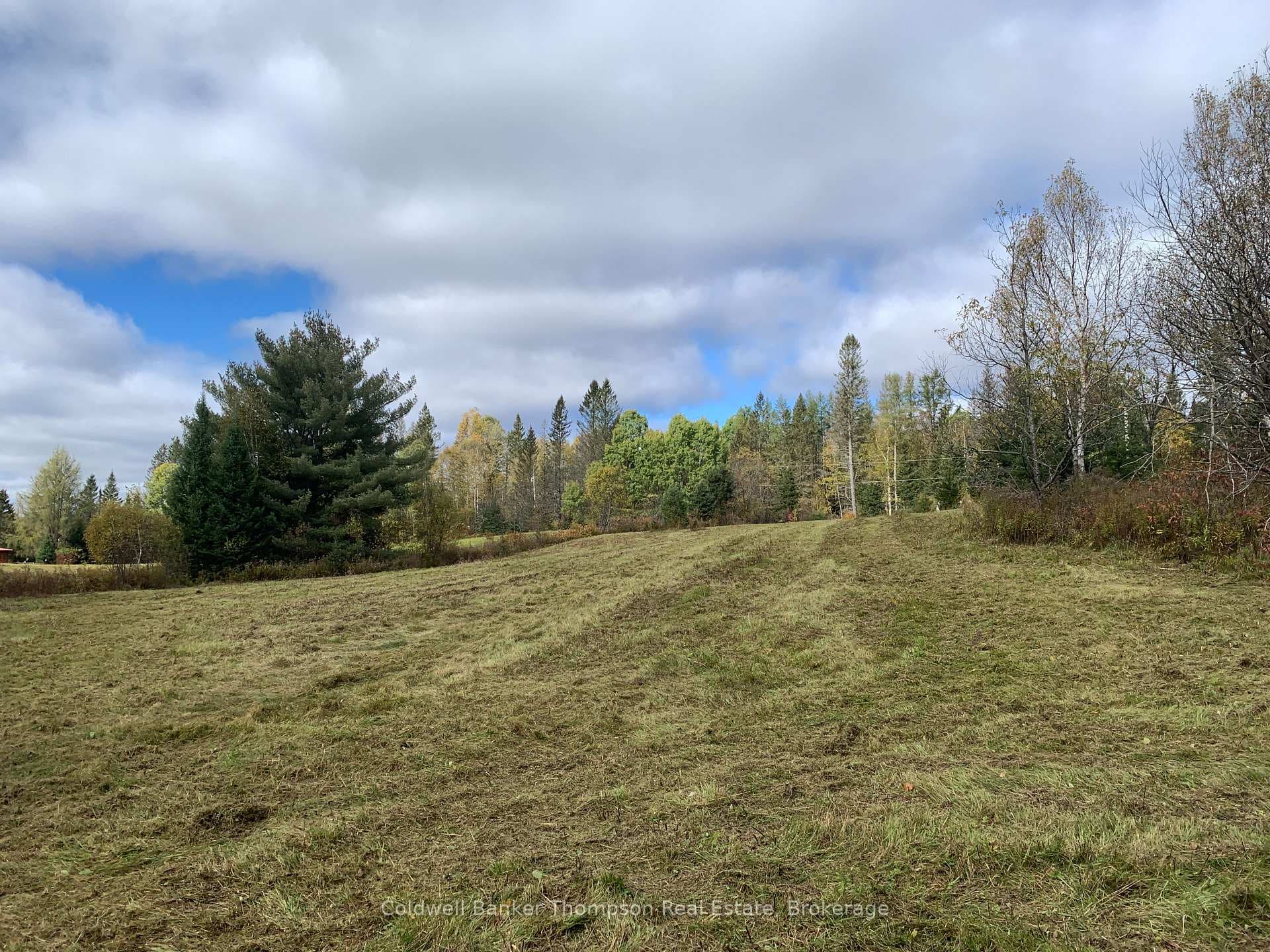 Large Clearing