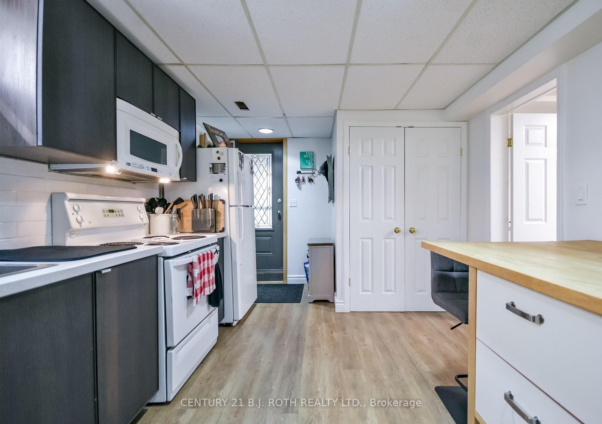 172 Albin Road photo 28