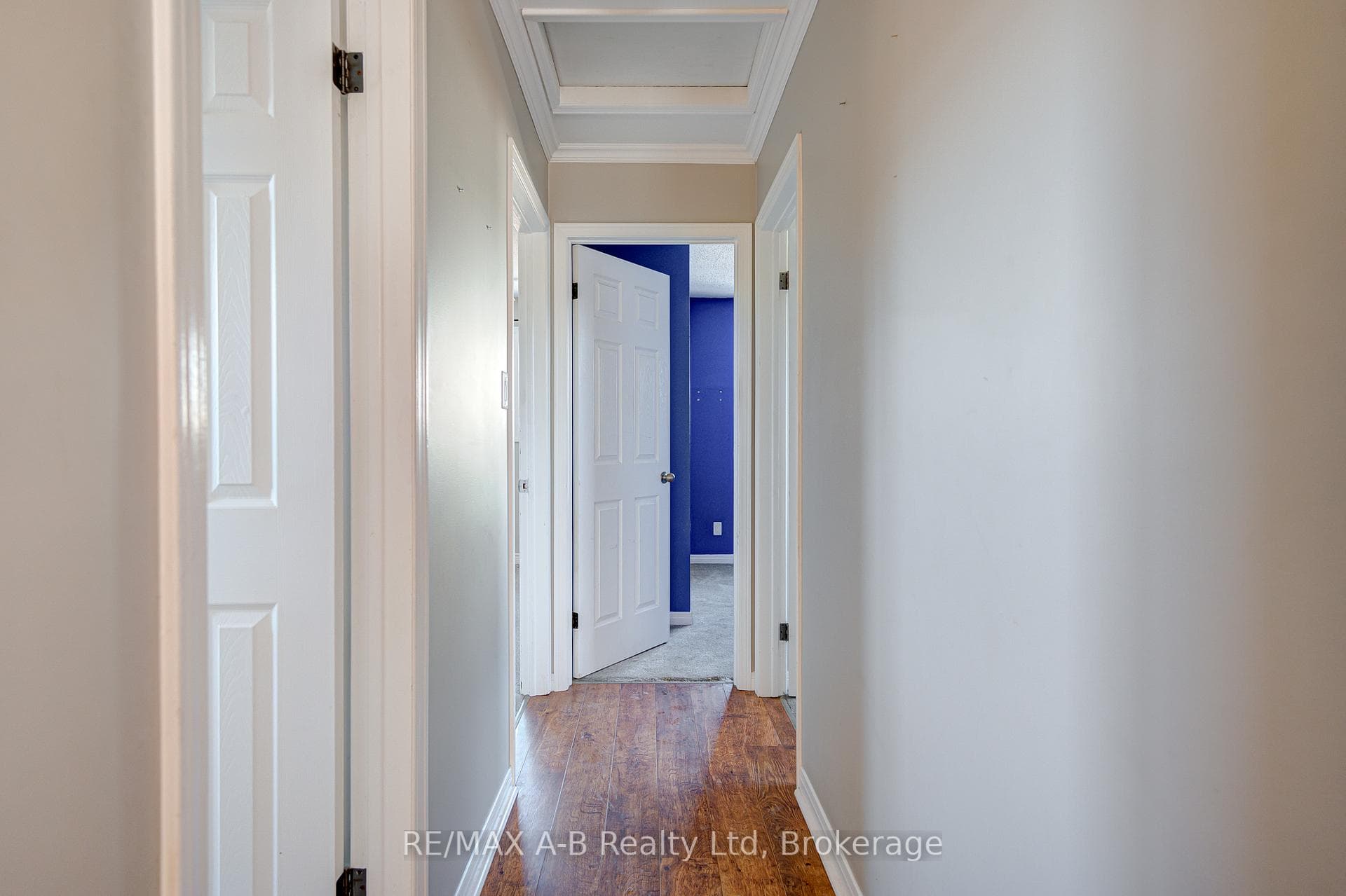 32 Demille Street photo 18