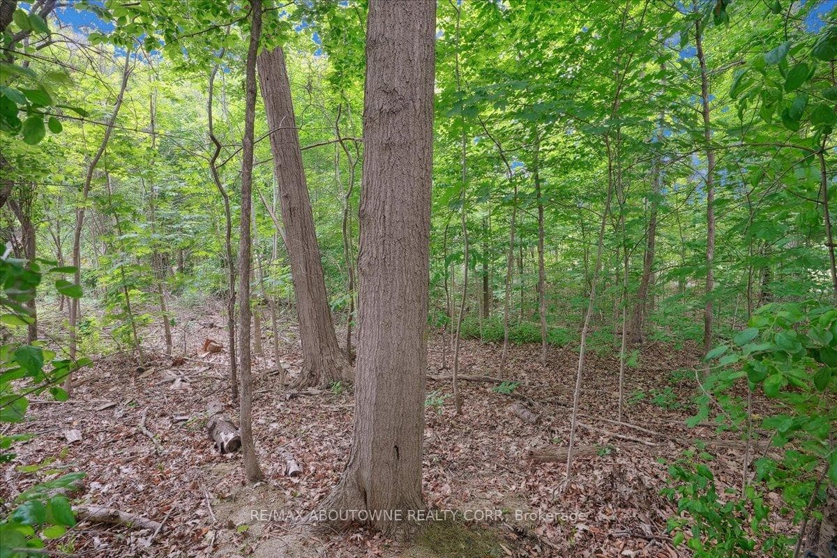 1309 Old Bridle Path photo 33