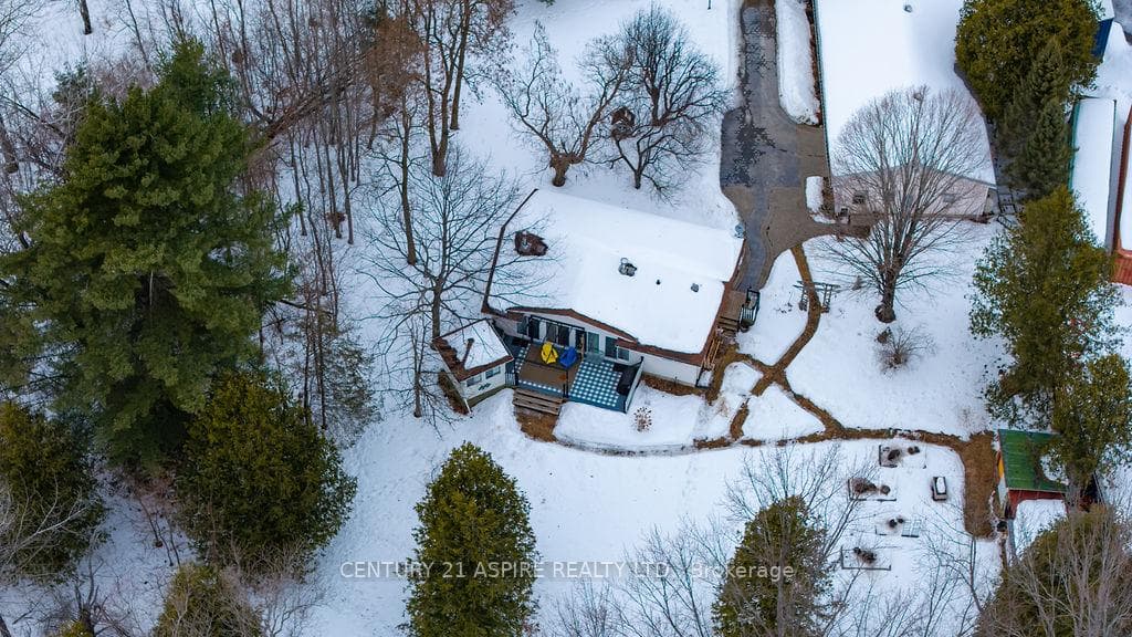 45 Columbine Lane photo 40