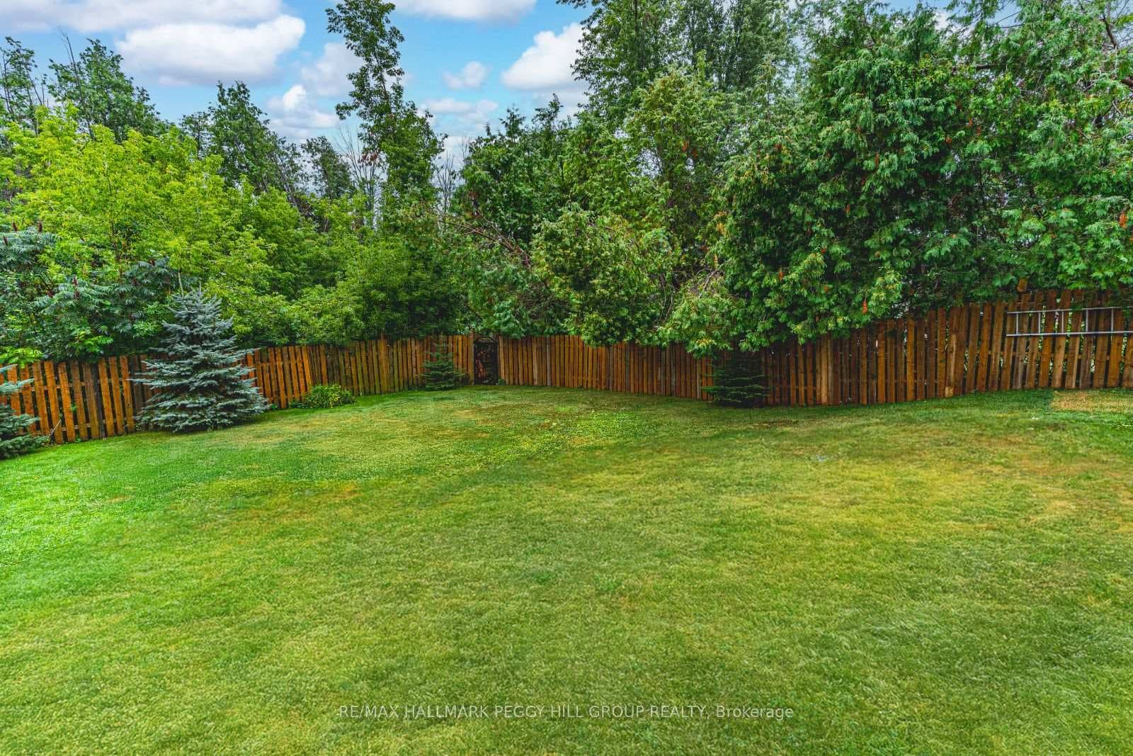 2447 Ridge Road photo 24