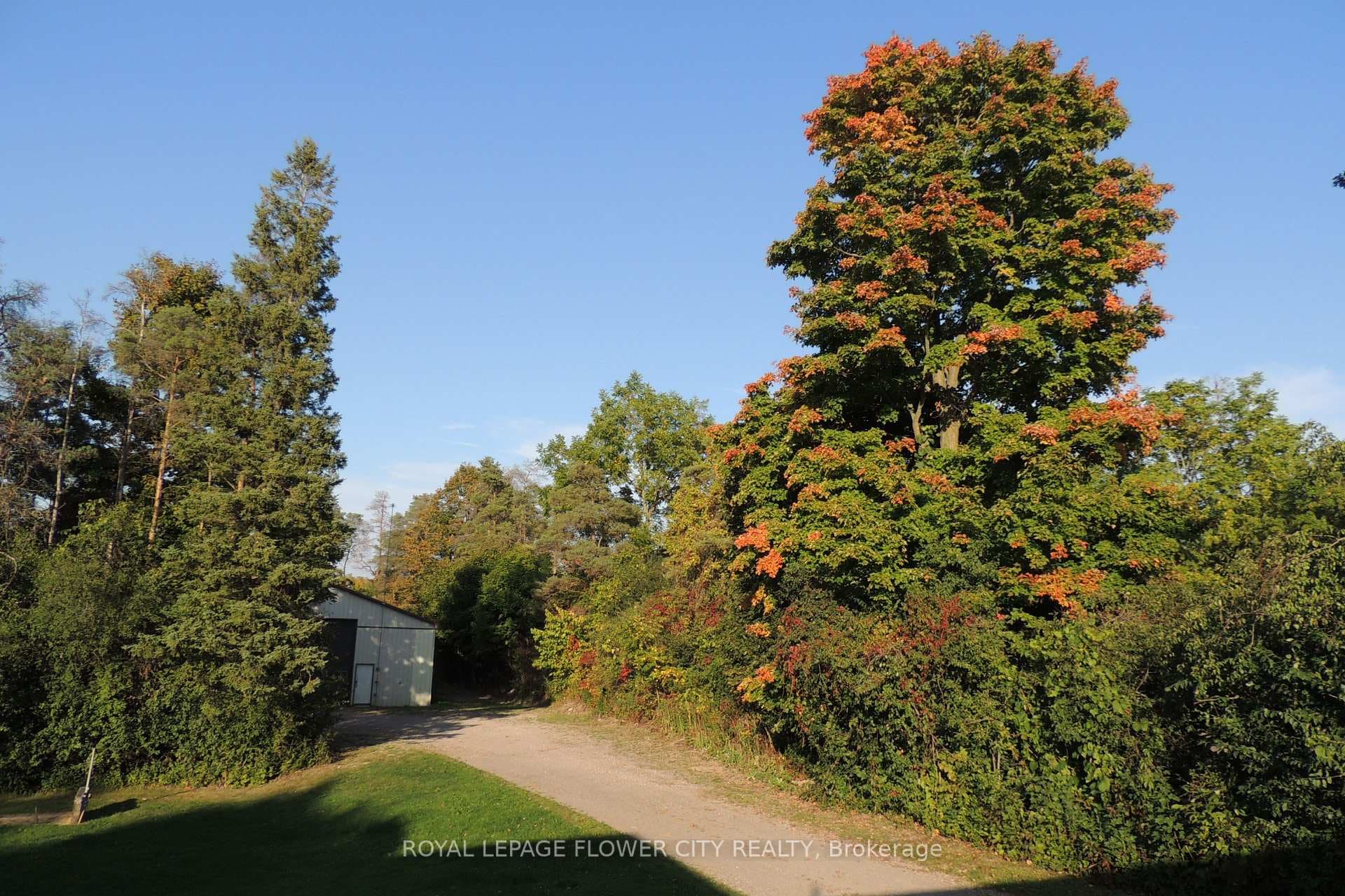 4871 Wellington Rd 29 Road photo 45