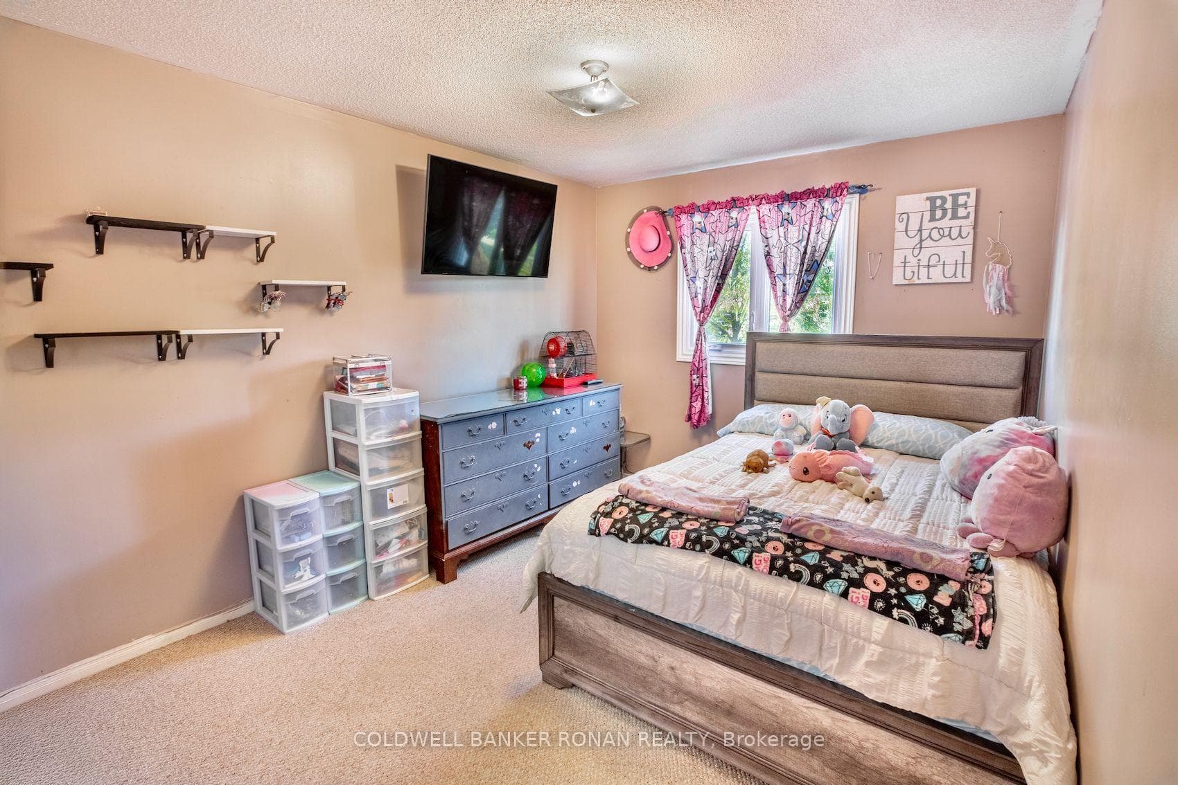 99 Kate Aitken Crescent photo 17
