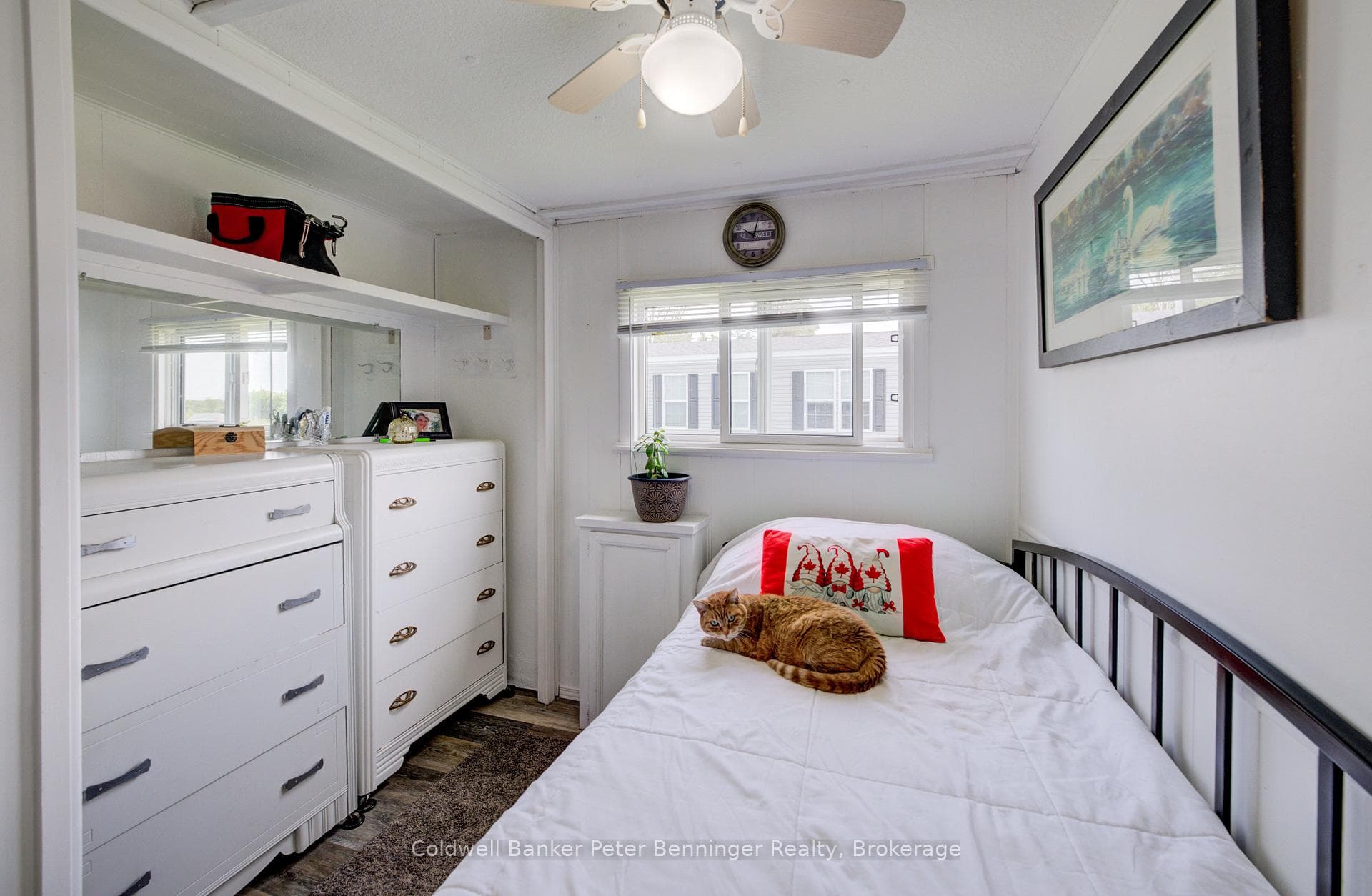 33 Dove Road photo 23