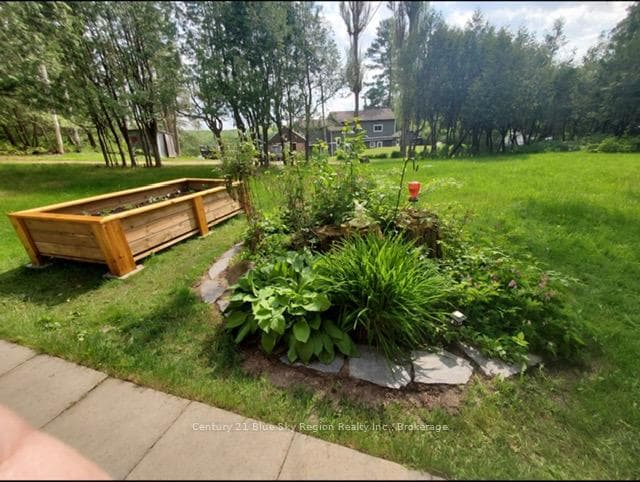 12 Cherry Lane photo 42