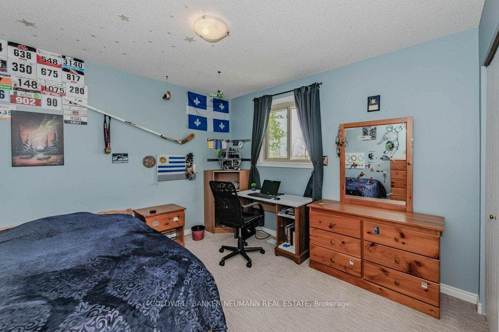 179 Inkerman Street photo 23