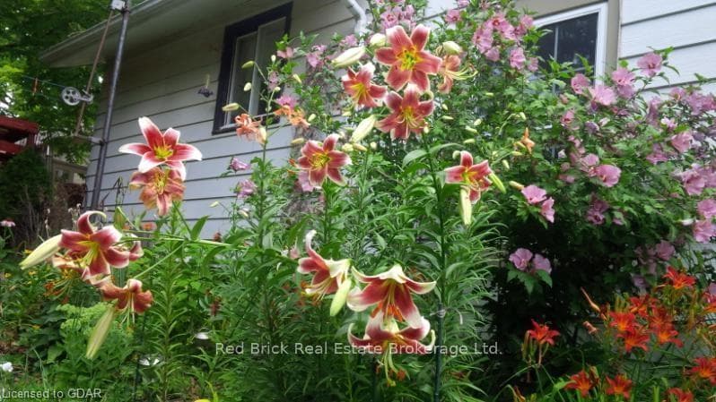 178 CHALMERS Street photo 38