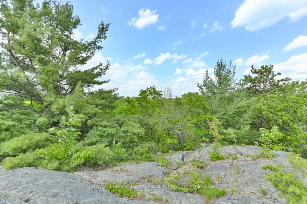 10450B Highway 41 N/A photo 5