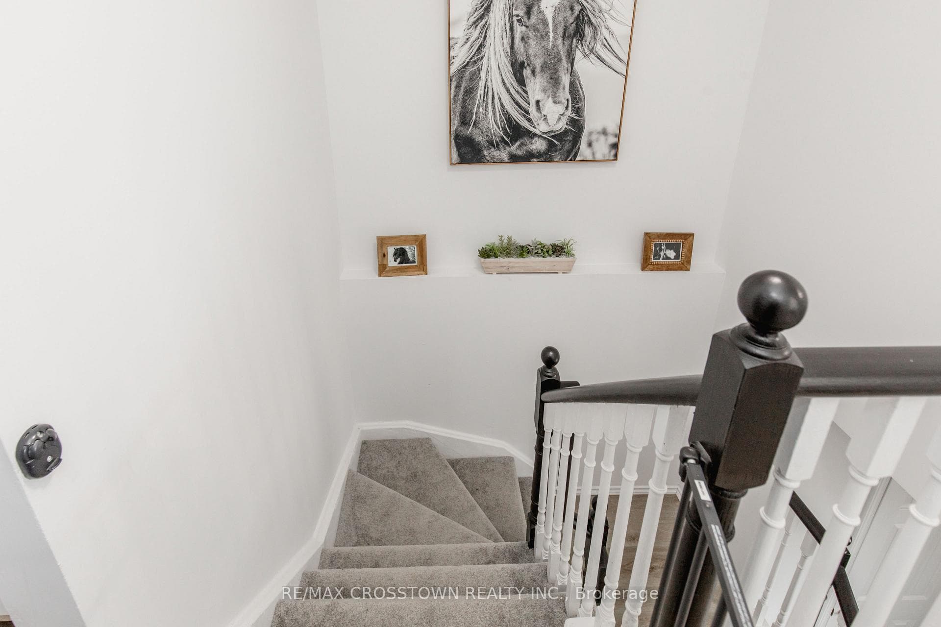 16 Moir Crescent photo 19