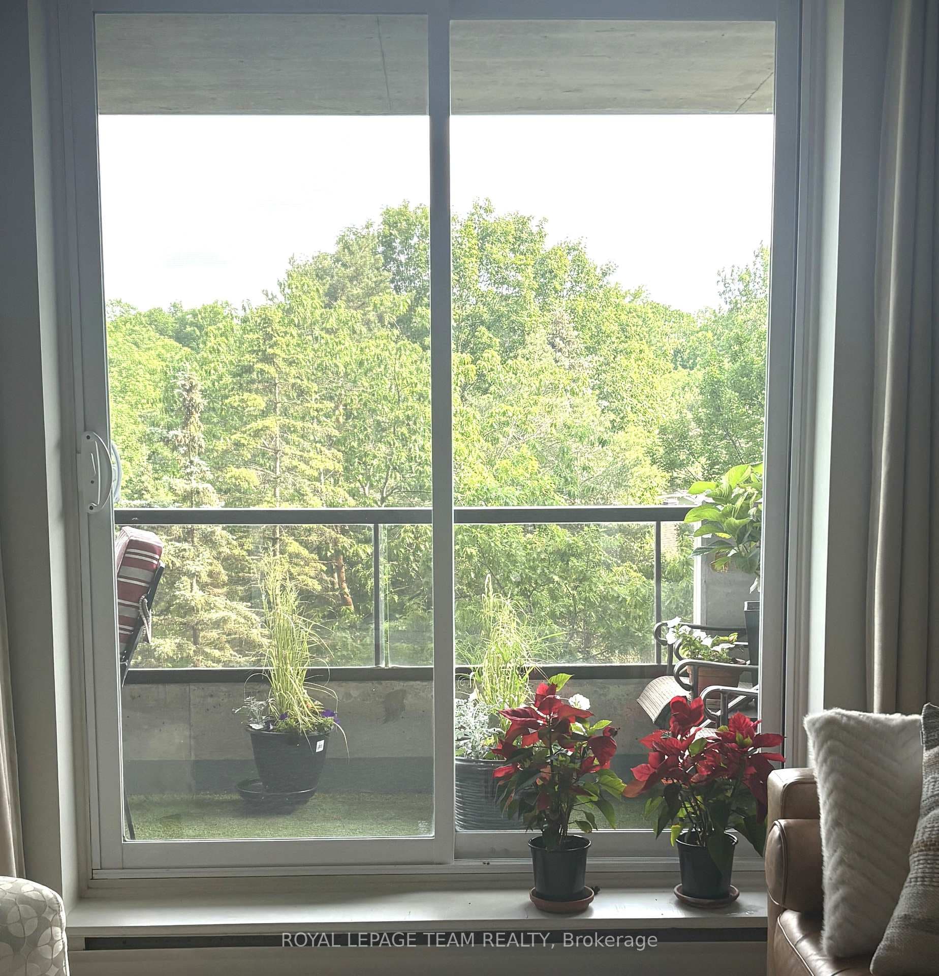 Full bloom from balcony