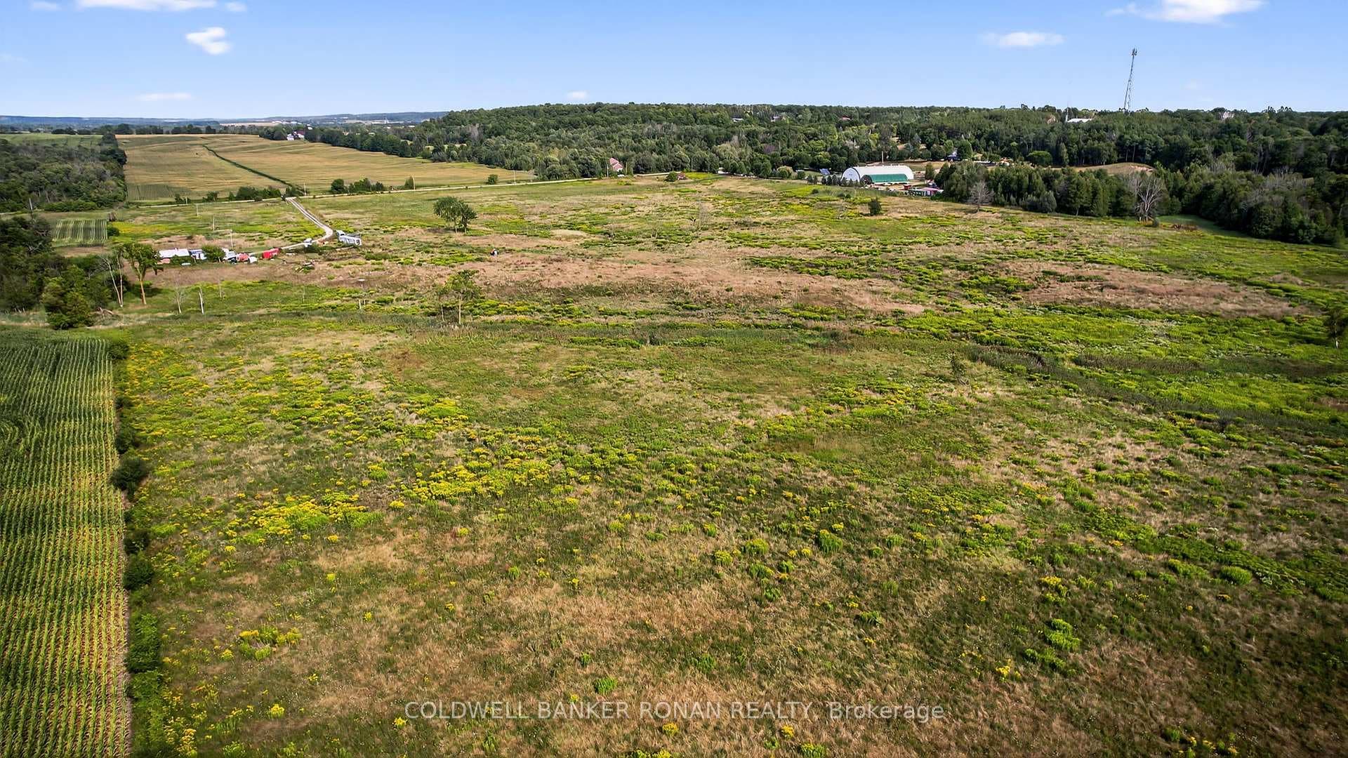 3178 Concession Road 4 N/A photo 17