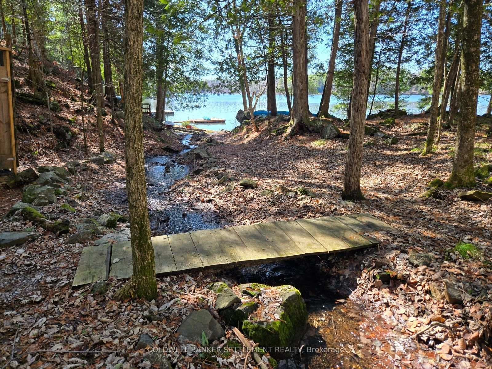 Bridge across the stream
