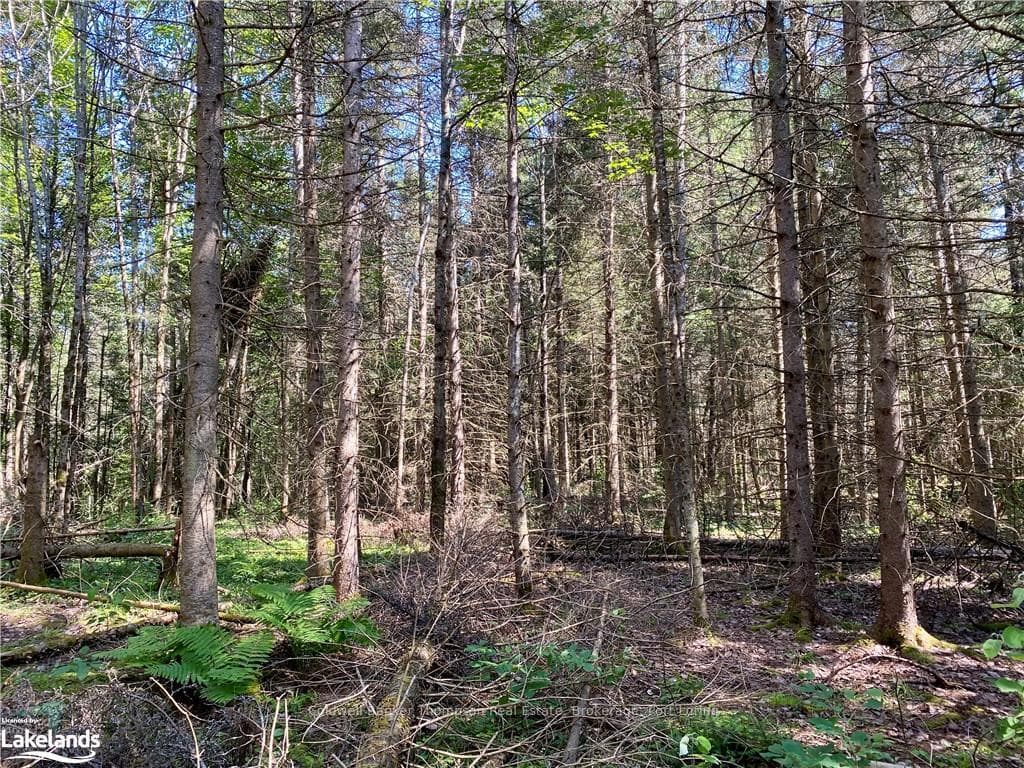 0 CONCESSION ROAD 10 AND 11 N/A photo 15