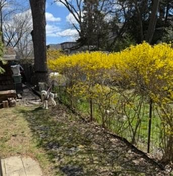 Spring hedge with LIbbi