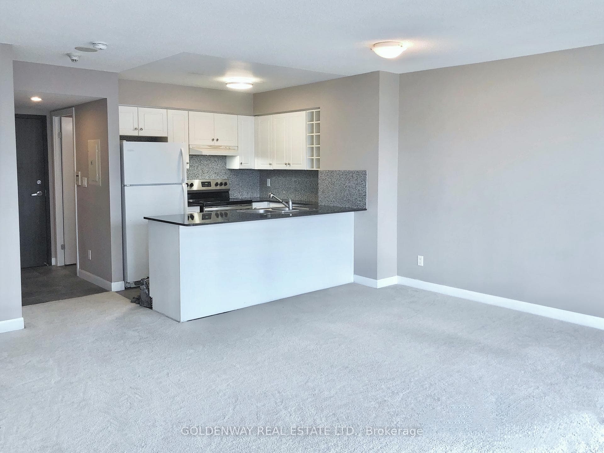 210 Victoria Street Unit 3513 photo 4