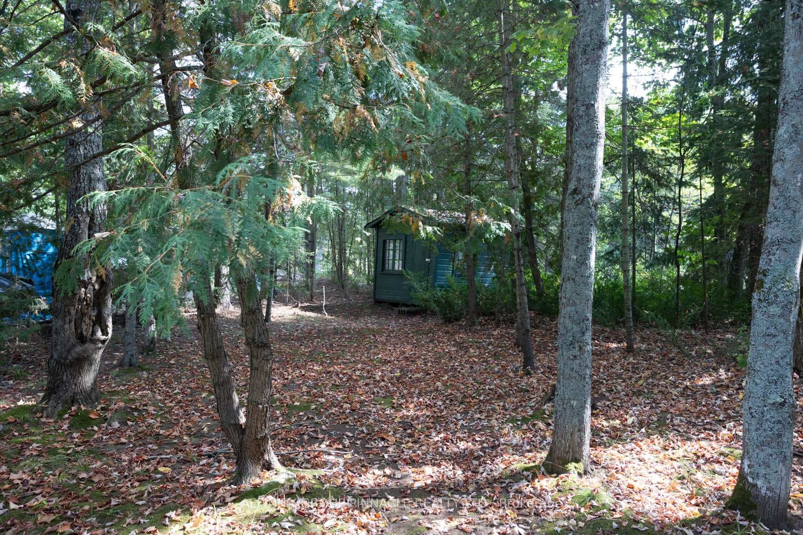 27487 Hwy 28 N/A photo 22