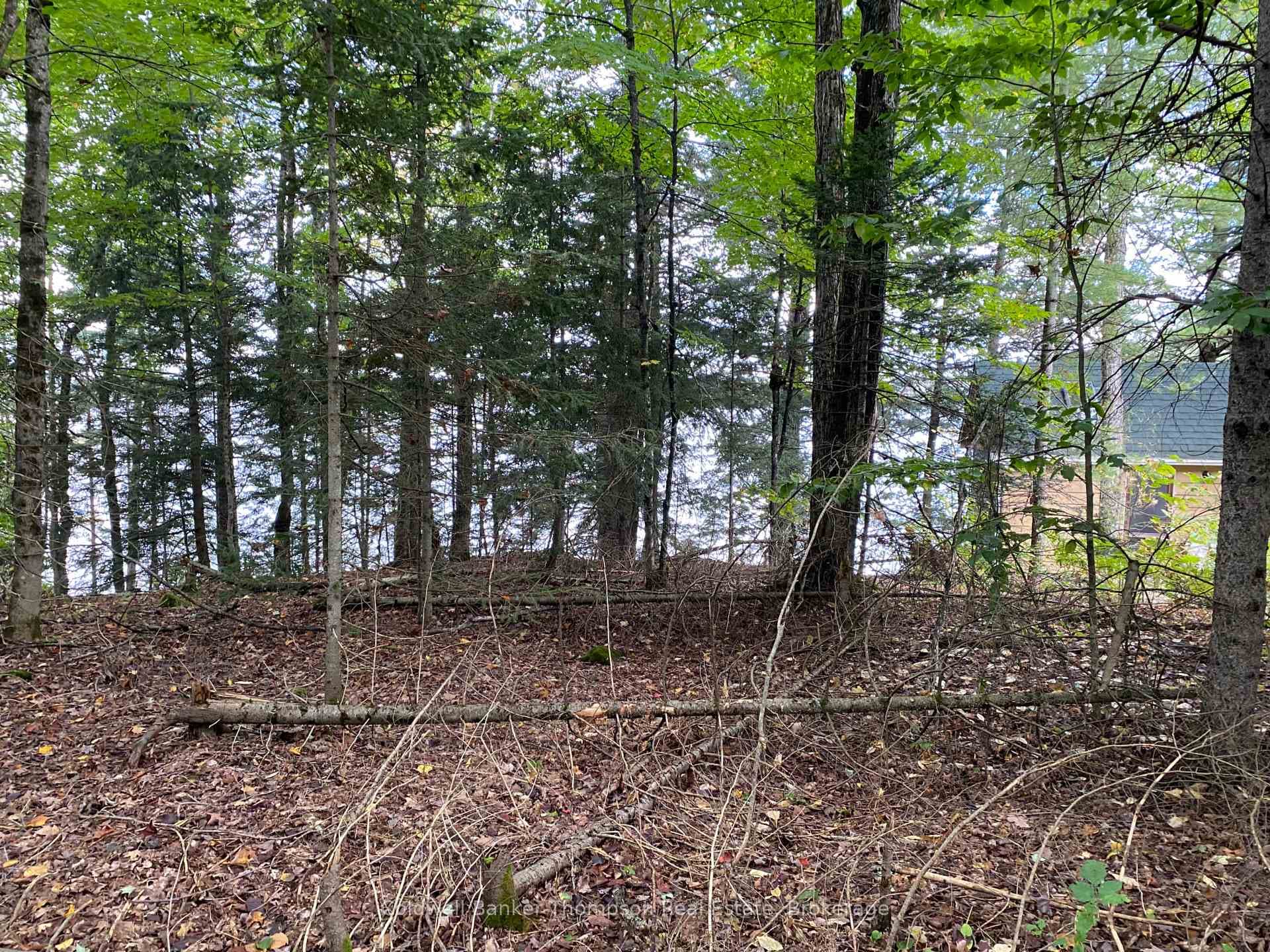 1080 Healey Lake Road photo 22
