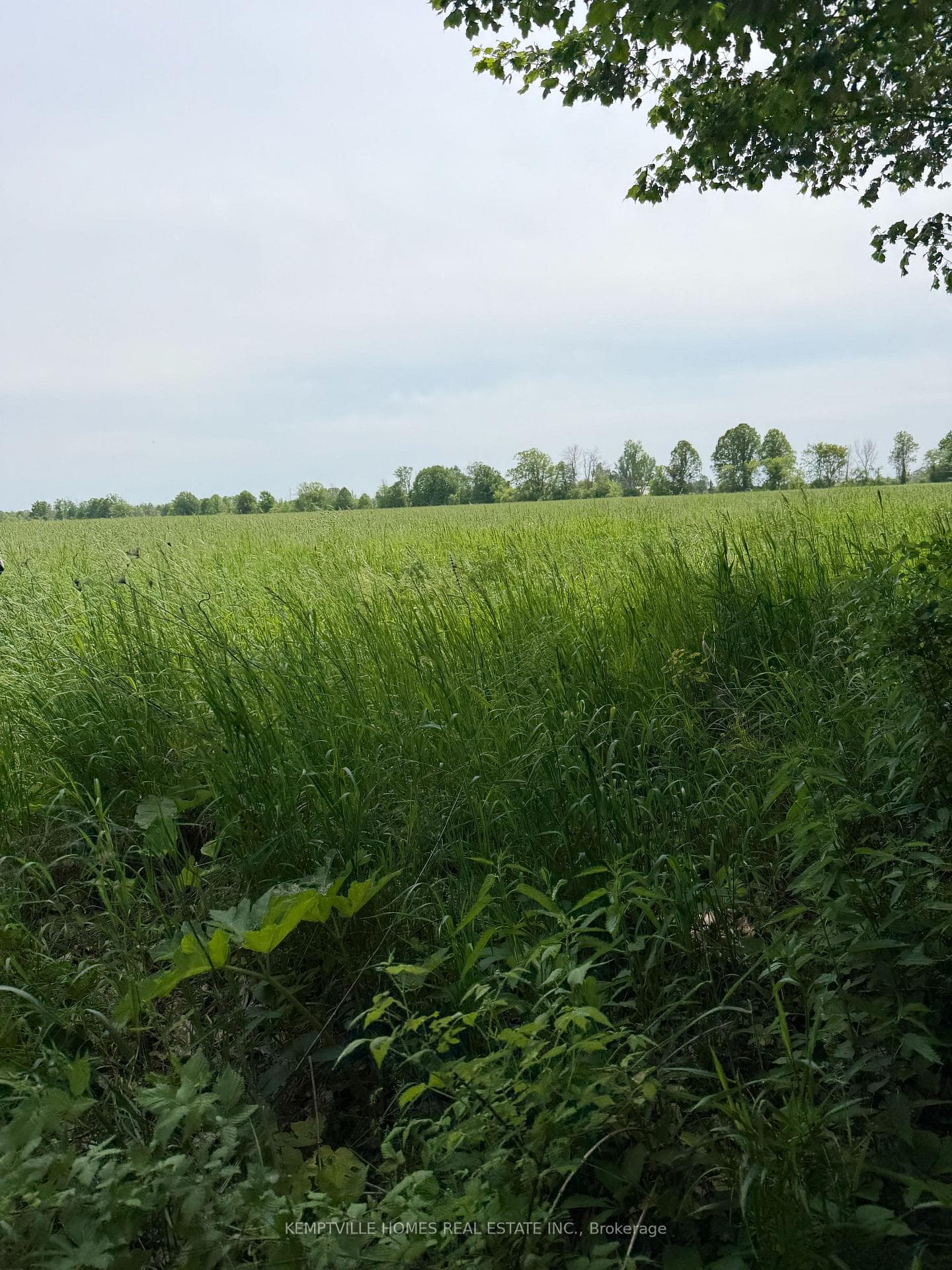 00 RICHARDSON Road photo 18